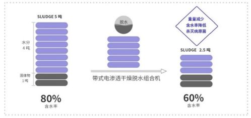 新環(huán)環(huán)保 污泥處置先進(jìn)技術(shù)產(chǎn)品服務(wù)商，引領(lǐng)綠色環(huán)保新未來(lái)